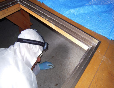 床下の検査状況