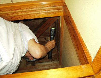 小屋裏の検査中